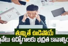 Private Employees : ప్రైవేటు ఉద్యోగి జీవితం.. ఎన్నాళ్లీ గొడ్డు చాకిరీ? ‘రైట్ టు డిస్కనెక్ట్’ కావాల్సిందేనా?