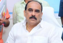 Balineni Srinivasa Reddy: బాలినేనికి కొత్త బాధ్యతలు Balineni Srinivasa Reddy