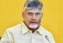 CM Chandrababu: బీసీ స్టూడెంట్స్ కు చంద్రబాబు ఇచ్చిన గిఫ్ట్ ఇది! CM Chandrababu