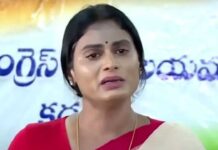 Sharmila Rajya Sabha: షర్మిల రాజ్యసభ సభ్యురాలు కాకుండా అడ్డుకున్నదెవరు.. ఏం జరిగింది Sharmila Rajya Sabha