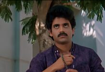 Shiva Re Release: ‘శివ’ రీ రిలీజ్ మీద నాగార్జున ఎక్కువ ఫోకస్ చేయడానికి కారణం ఏంటంటే..? Shiva Re Release First Day Collections