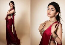 Sreeleela Photoshoot: ఏం పోత పోశాడు బ్రహ్మ.. శ్రీలీలను ఇలా చెక్కాడమ్మా.. Sreeleela Photoshoot