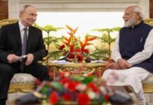 Modi Putin Meeting: పుతిన్ మోదీ మీటింగ్ లో ఈ మొక్కనే ఎందుకు వాడారు? దీని ప్రత్యేకతలేంటంటే? Modi Putin Meeting