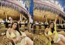 Priya Prakash Varrier Photoshoot: బీచ్ లో ప్రియా వారియర్ అందాల అరాచకం Priya Prakash Varrier Photoshoot