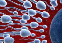 Sperm Donor: వీర్యం అంటేనే మగవాడి వీరత్వం.. కానీ దానం చేయడం అంత ఈజీ కాదు. ఎందుకంటే? Sperm Donor