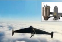 Ukraine Russia War: రష్యా డ్రోన్ లకు ఉక్రెయిన్ విరుగుడు.. ఈ కందిరీగల గురించి తెలుసా? Ukraine Russia War