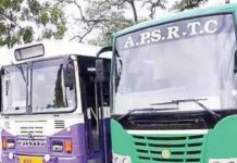 APSRTC: ఏపీఎస్ఆర్టీసీ మంచి నిర్ణయం APSRTC Good News For Women