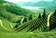 Assam: మరో ఉగ్ర కుట్ర భగ్నం.. అస్సోంలో కీలక ఆపరేషన్! Assam