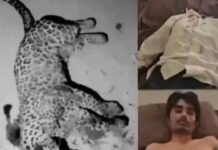 Gujarat: కొడుకు కోసం చిరుతతో పోరాడాడు.. ఈ తండ్రి ధైర్యానికి హాట్సాఫ్ Gujarat
