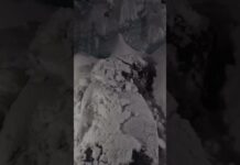 Indian Army Soldier Sacrifice : ఎముకలు కొరికే చలిలో విధులు.. సైనికుడా సెల్యూట్!