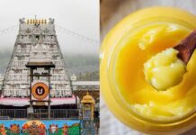 Tirumala Laddu Ghee Scam: తుది దశకు టీటీడీ కల్తీ నెయ్యి కేసు.. ఏం జరుగుతోంది.. Tirumala Laddu Ghee Scam