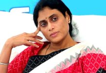 YS Sharmila: వైఎస్ షర్మిల దారెటు?! YS Sharmila