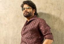 Nagarjuna 100th Movie: ‘కింగ్ 100’ లో కీలక పాత్ర పోషిస్తున్న సూపర్ స్టార్.. అక్కినేని ఫ్యాన్స్ కి విజువల్ ఫీస్ట్.. Nagarjuna 100th Movie