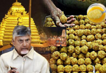 Srisailam Prasadam Controversy: శ్రీశైలంలో కూడా కల్తీ .. మరో బాంబుపేల్చిన సీఎం చంద్రబాబు Srisailam Prasadam Controversy