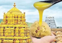 TTD Ghee Adulteration Case: టీటీడీ కల్తీ నెయ్యి కేసులో వైఎస్ కుటుంబ అధికారి TTD Ghee Adulteration Case