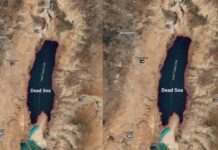 Dead Sea Facts: డెడ్ సీ.. ఈ భూమి లో దాగిన అద్భుతాల సరస్సు Dead Sea Facts