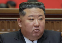 Kim Jong Un insult interview: ఇంటర్వ్యూలో వింత ప్రశ్న.. కిమ్ను పంది అని తాటాలట.. కారణం ఇదే! Kim Jong Un insult interview