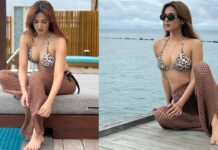Sonal Chauhan: సోనాల్ ఎద అందాలు చూడతరమా? Sonal Chauhan