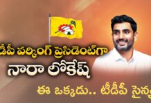 TDP Working President Nara Lokesh : నారా లోకేష్.. ఇంతింతై.. టిడిపికి వర్కింగ్ ప్రెసిడెంటై..