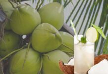Coconut Juice: కొబ్బరి నీళ్ళు తాగాం గాని.. కొబ్బరి జ్యూస్ ఏంటి భయ్యా.. ఎలా చేస్తారో తెలుసా Coconut Juice