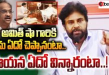 Pawan Kalyan : ప్రొఫెసర్ నాగేశ్వర్ వ్యాఖ్యలకు పవన్ కళ్యాణ్ స్ట్రాంగ్ కౌంటర్.. తాట తీస్తాం అంటూ వార్నింగ్..