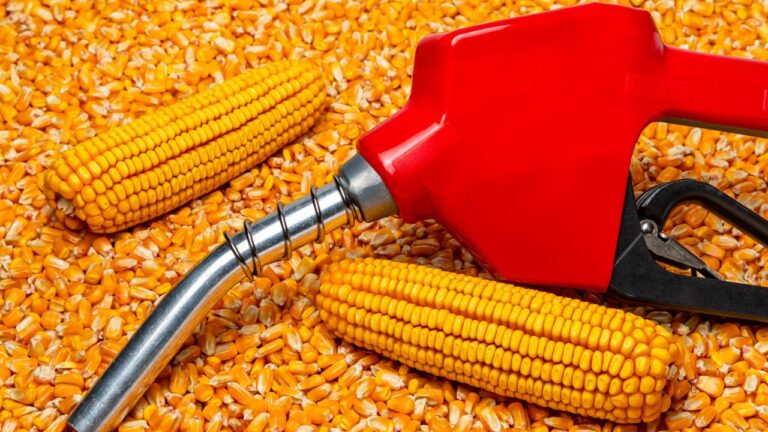India Ethanol Blending Strategy: గల్ఫ్‌ దేశాలకు మోదీ ఝలక్‌.. ఇథనాల్‌తో ఇండియా రాక్