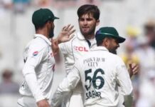 Pakistan Cricket Team: భారత ప్లేయర్లను నమ్ముకున్నప్పటికీ.. పరువు దక్కలేదు.. పాపం పాకిస్తాన్ Pakistan Cricket Team