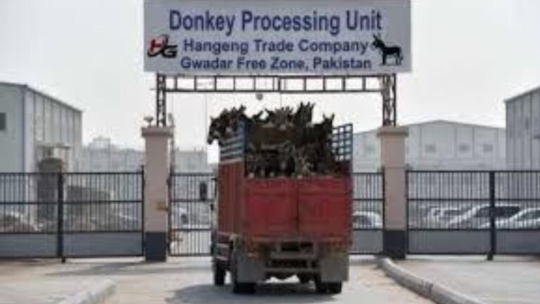Pakistan Donkey Processing Plant Closure: పాకిస్తాన్ లో బోర్డు తిప్పేస్తున్నారు.. దాయాది ’దుకాణం‘ బంద్