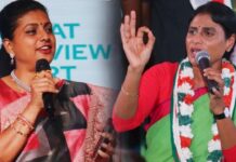 Roja Vs Sharmila: రోజాపై కొత్త జంతువుల పేర్లతో షర్మిల దాడి.. రెడీగా ఉండాల్సిందే! Roja Vs Sharmila