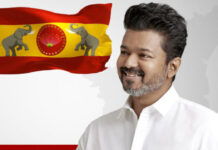 Vijay Favorite Telugu Hero: తలపతి విజయ్ కి ఇష్టమైన తెలుగు హీరో, పొలిటీషియన్స్ వాళ్లేనా… Vijay Government