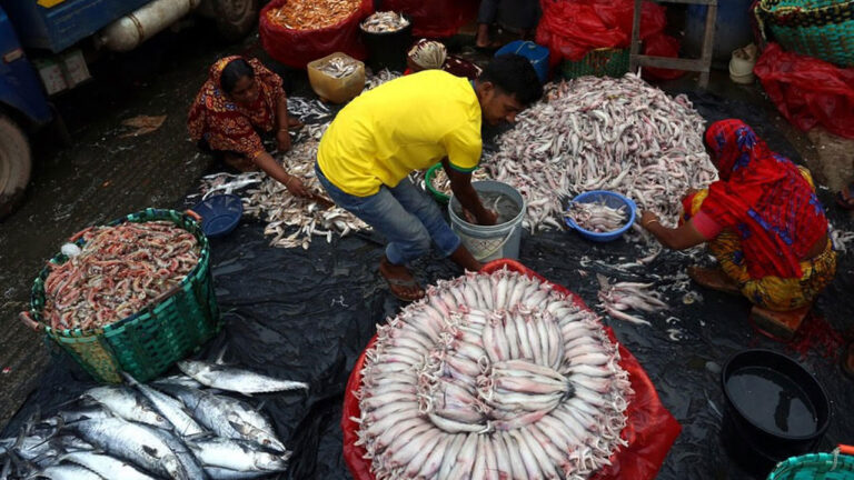 Fish Market Viral Video: చేపలంటే మీకు ఇష్టమా.. ఈ వీడియో చూస్తే జన్మలో కొనరు