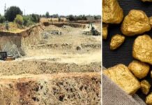 Andhra Pradesh Gold Mines: జొన్నగిరి శాంపిల్ మాత్రమే.. ఏపీలో అసలైన కేజీఎఫ్ ఇదే.. తవ్వితే ఏపీ రూపు రేఖలే మారిపోతాయి Andhra Pradesh Gold Mines