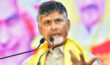 Chandrababu: స్థానిక ఎన్నికల్లో చంద్రబాబు సంచలనం! Chandrababu