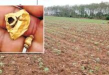 Gold Found In Farmland: ఆ భూమిలో బంగారం దొరికింది.. ఎవరు హక్కుదారులు..ఇప్పుడిదే పెద్ద పంచాయితీ.. Gold Found In Farmland