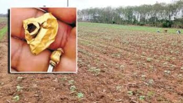Gold Found In Farmland
