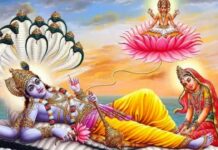 Param Ekadashi 2026: ఈరోజు పరమ ఏకాదశి… ఇలా చేస్తే చాలా నష్టం.. Param Ekadashi 2026
