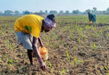 AP Rainfall Deficit: ఏపీలో డేంజర్ బెల్స్.. భారీగా వర్షం లోటు! AP Rainfall Deficit