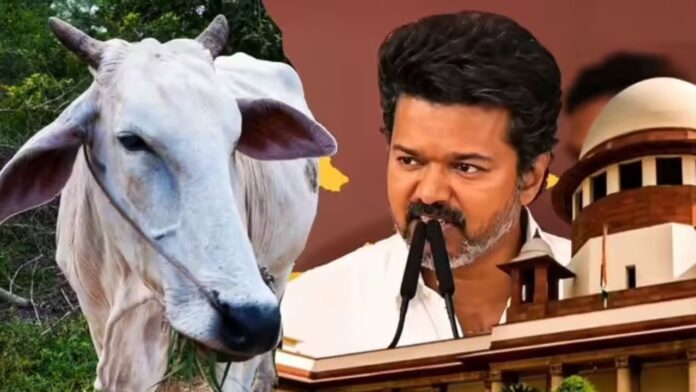 CM Vijay