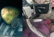 Car Accident: కారులో కొబ్బరి బొండాం పెట్టడమే పాపం అయింది.. చూస్తుండగానే ఓ ప్రాణం.. Car Accident