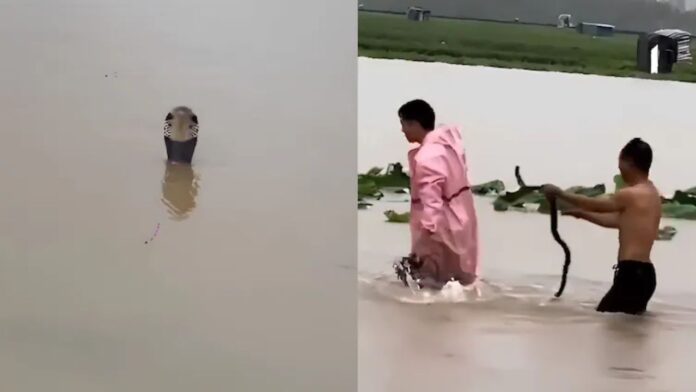 China Floods