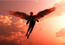 Flying Humans: పక్షుల మాదిరిగా మనుషులకు రెక్కలు వస్తే.. Flying Humans