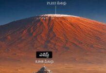 Olympus Mons Vs Everest: ఎవరెస్ట్ ఎత్తయిన శిఖరం కాదు.. దానికన్న ఎత్తయినది ఇదే.. దీని చరిత్ర ఇదీ! Olympus Mons Vs Everest