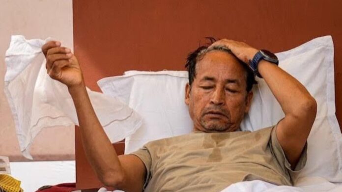 Sonam Wangchuk Protest